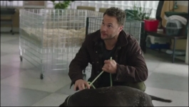 Strays - Season 02 Episode 02